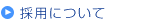 �̗p�ɂ���