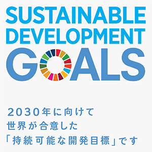 sdg_logo